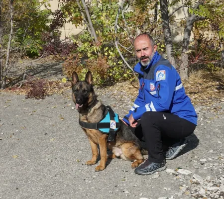 Zehir gibi maşallah